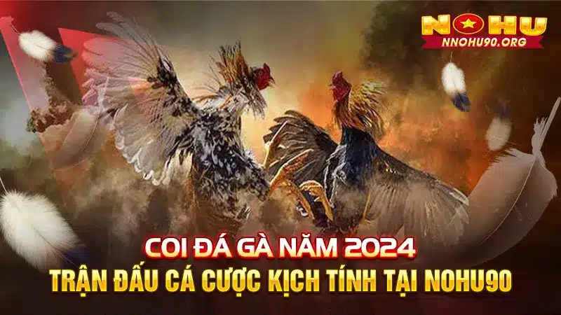 Coi Đá Gà Năm 2024 - Trận Đấu Kịch Tính Tại NOHU90