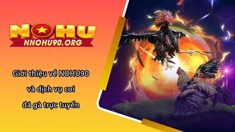 Giới thiệu về NOHU90 và dịch vụ coi đá gà trực tuyến