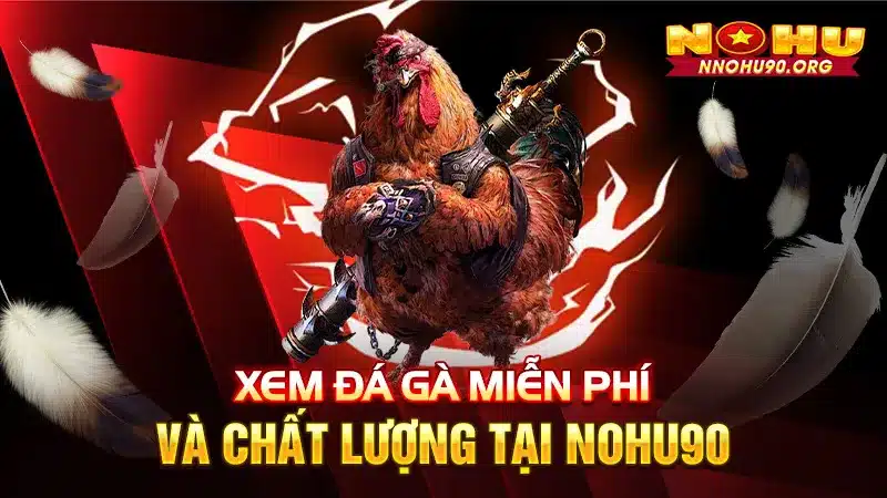 Xem Đá Gà Miễn Phí Và Chất Lượng Tại NOHU90