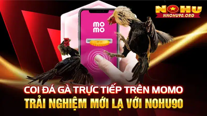 Coi Đá Gà Trực Tiếp Trên MoMo: Trải Nghiệm Mới Với NOHU90