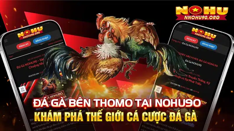 Đá gà bên Thomo tại NOHU90: Khám phá thế giới đá gà