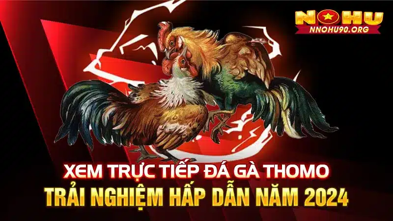 Xem Trực Tiếp Đá Gà Thomo: Trải Nghiệm Hấp Dẫn Năm 2024